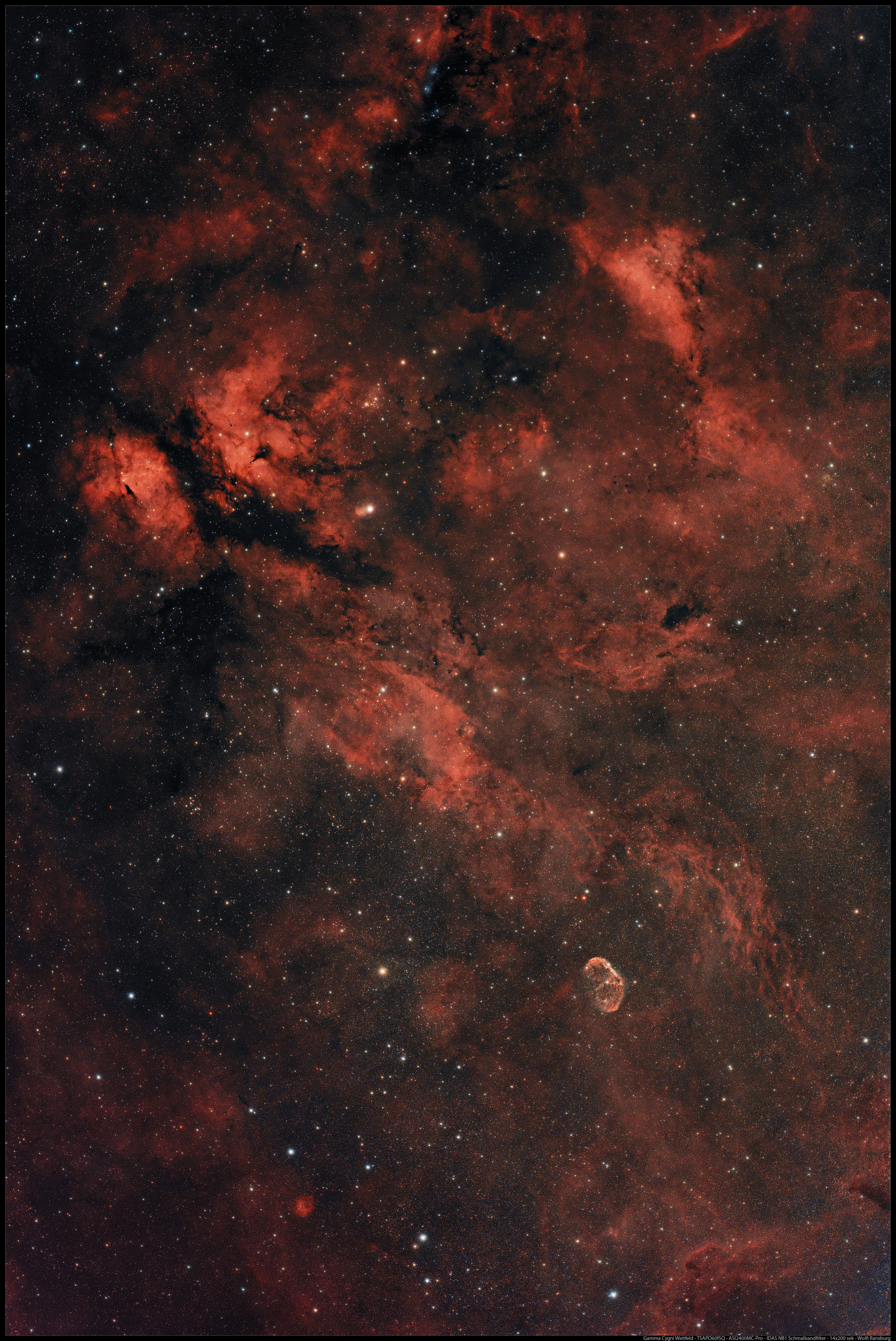 H-II um Gamma Cygni mit NGC 6888 - Weitfeld