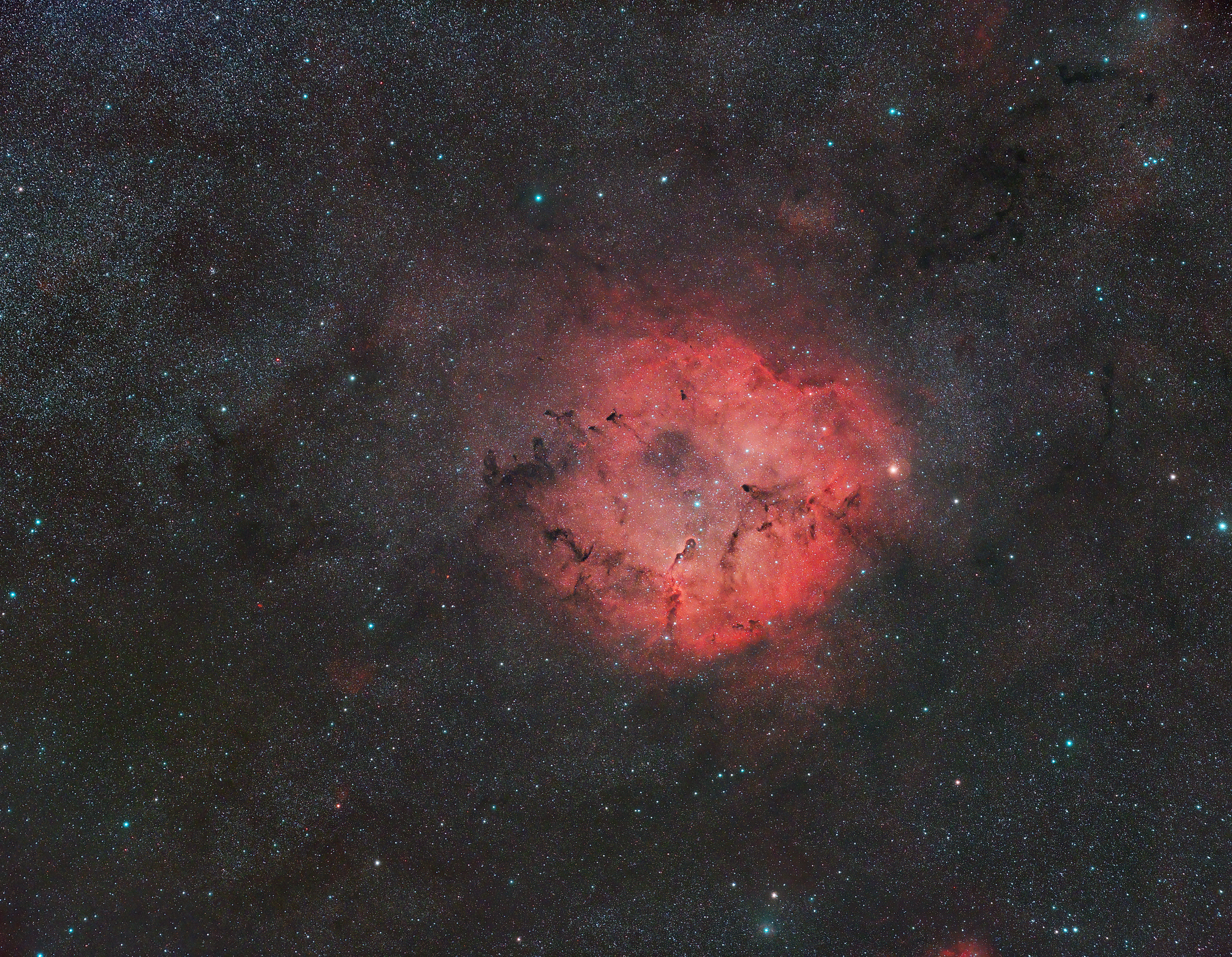 IC1396 Wide Field